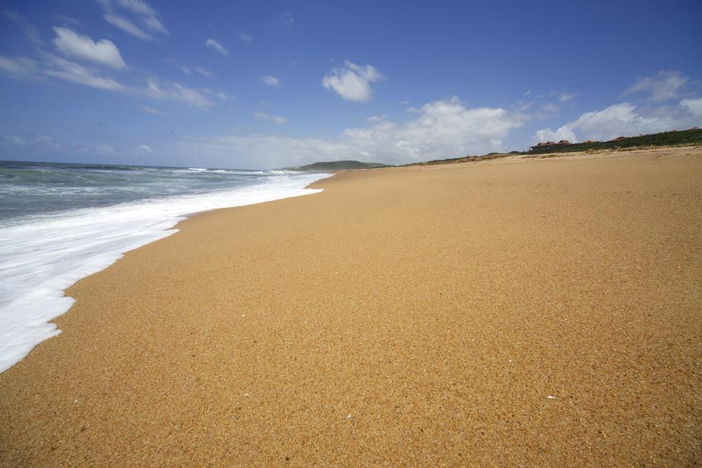 Fairmont Zimbali Resort Doğa fotoğraf